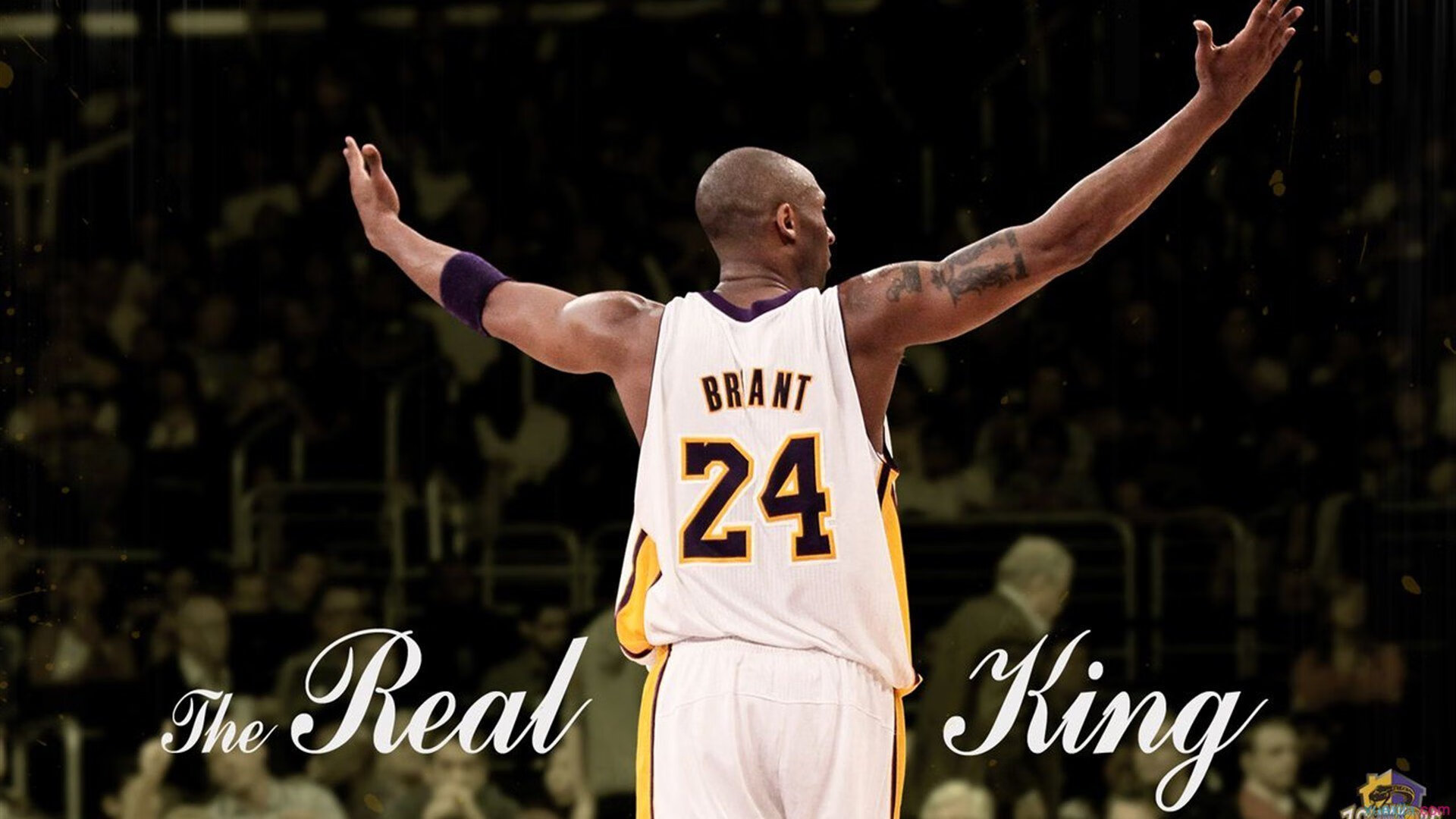 135万件产品被召回，企业信誉与成本风险并存，产品召回对企业的负面影响